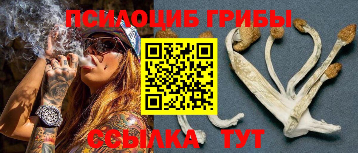 Тимашёвск  Псилоцибиновые грибы прущие грибы  Галлюциногенные грибы GOLDEN TEACHER  Вход с VPN 